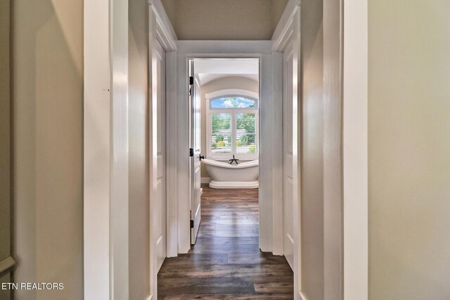 265 Falling Leaf Rd, Jamestown, TN 38556 - corridor with dark wood-style flooring