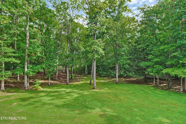 265 Falling Leaf Rd, Jamestown, TN 38556 - view of green lawn
