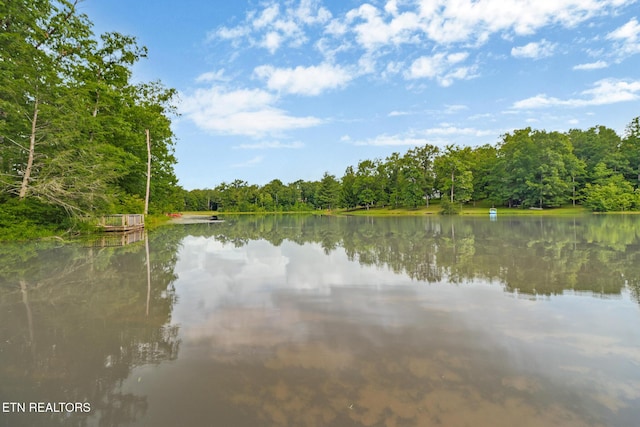 265 Falling Leaf Rd, Jamestown, TN 38556 - water view featuring a forest