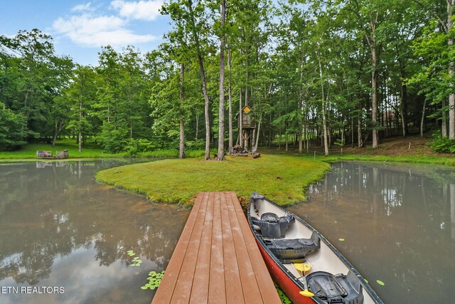 265 Falling Leaf Rd, Jamestown, TN 38556 - dock area with a lawn