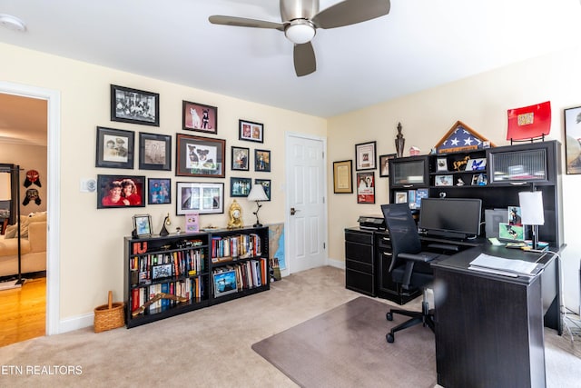 1155 Evelyn Mae Way, Knoxville, TN 37923 - office space featuring ceiling fan and carpet flooring