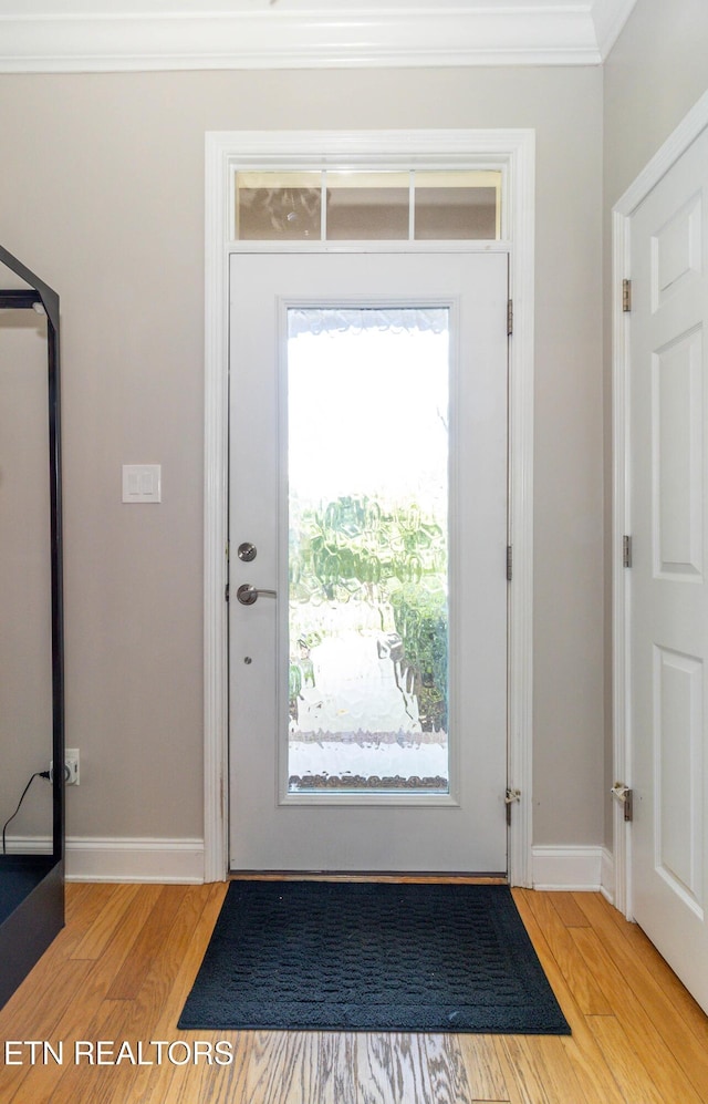 1155 Evelyn Mae Way, Knoxville, TN 37923 - doorway to outside featuring ornamental molding and light wood-style floors