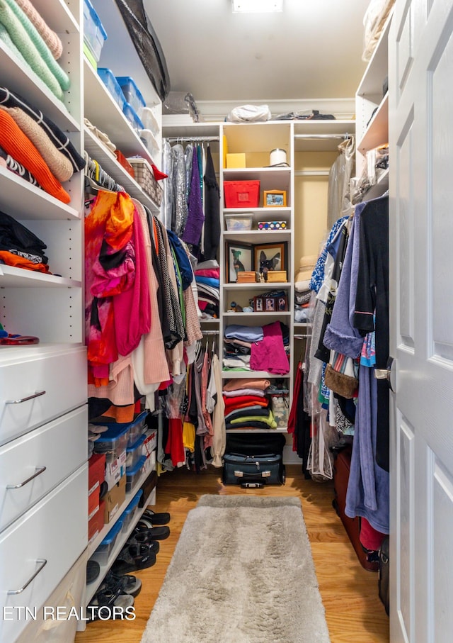 1155 Evelyn Mae Way, Knoxville, TN 37923 - spacious closet with wood finished floors