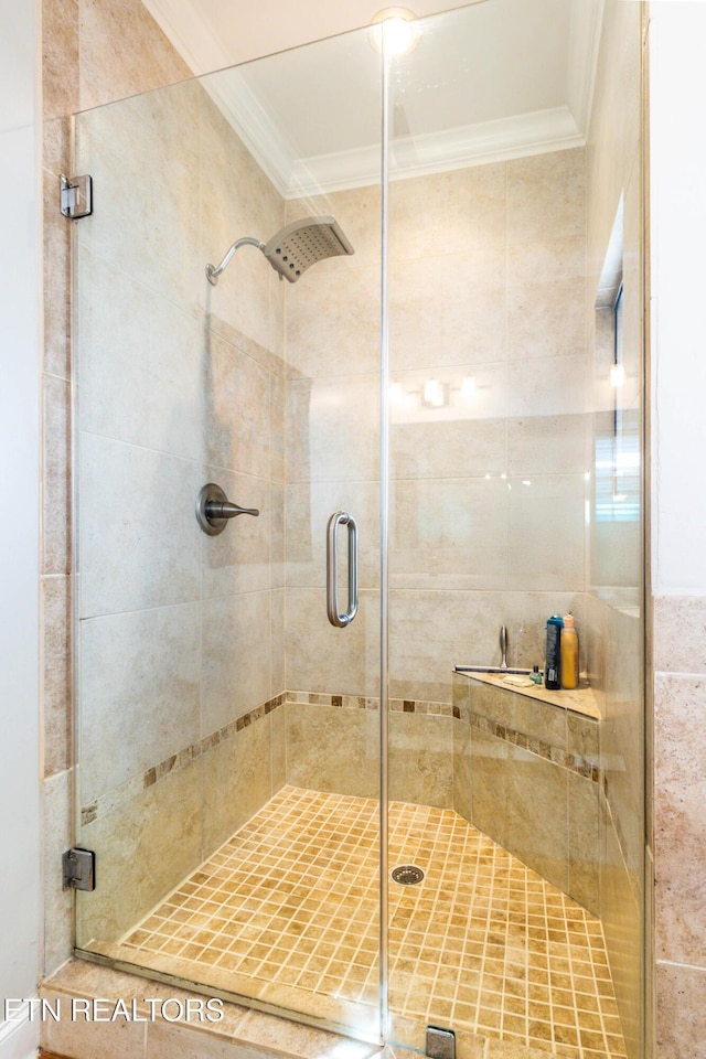1155 Evelyn Mae Way, Knoxville, TN 37923 - bathroom with ornamental molding and a shower stall