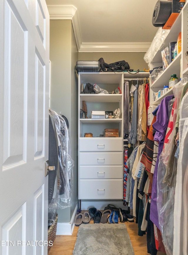 1155 Evelyn Mae Way, Knoxville, TN 37923 - spacious closet featuring wood finished floors