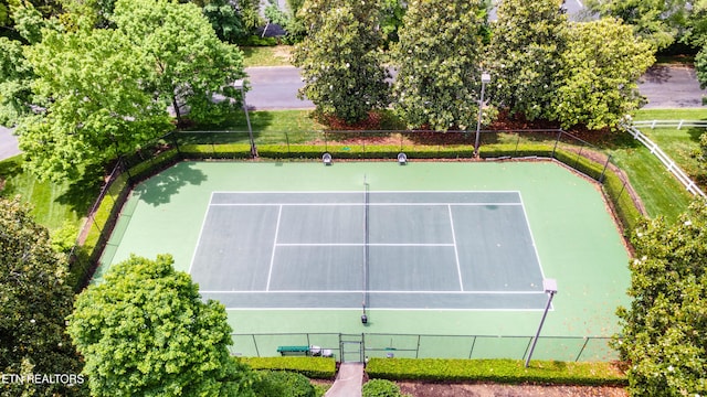 1155 Evelyn Mae Way, Knoxville, TN 37923 - view of tennis court