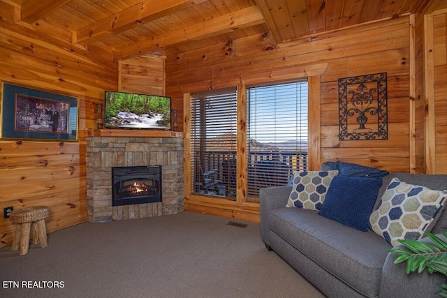 922 Black Bear Cub Way, Sevierville, TN 37862 - photo 39