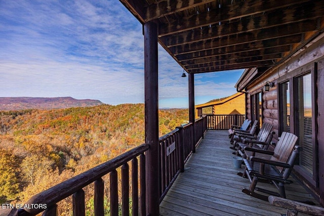922 Black Bear Cub Way, Sevierville, TN 37862 - photo 47