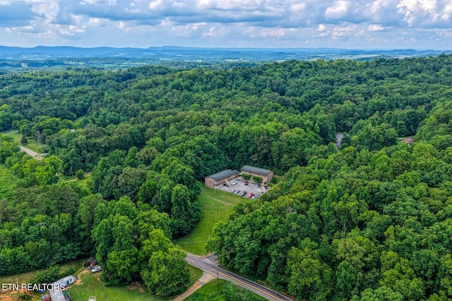 2810 Daybreak Way, Strawberry Plains, TN 37871 - drone / aerial view of a forest