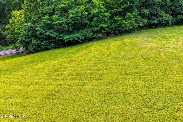 2810 Daybreak Way, Strawberry Plains, TN 37871 - view of grassy yard