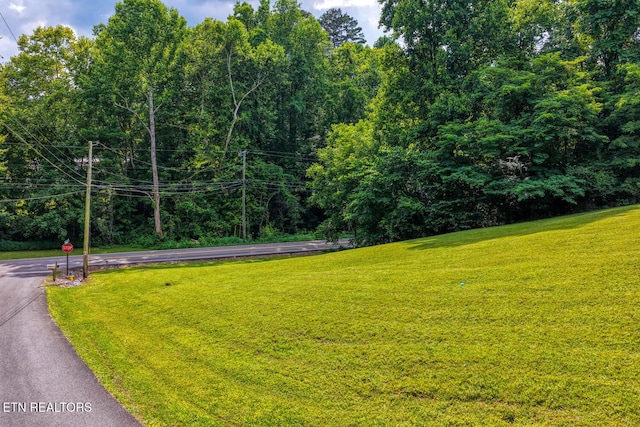 2810 Daybreak Way, Strawberry Plains, TN 37871 - view of green lawn