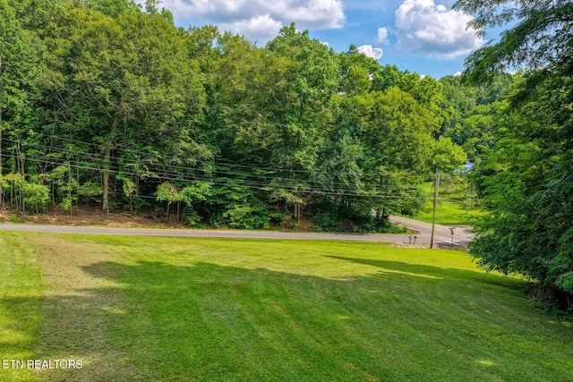 2810 Daybreak Way, Strawberry Plains, TN 37871 - view of green lawn