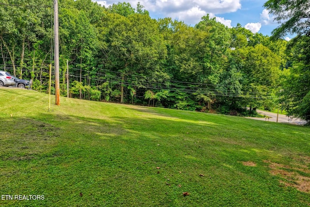 2810 Daybreak Way, Strawberry Plains, TN 37871 - view of green lawn
