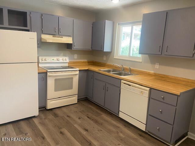 2810 Daybreak Way, Strawberry Plains, TN 37871 - kitchen featuring white appliances, gray cabinets, under cabinet range hood, light countertops, and dark wood-type flooring
