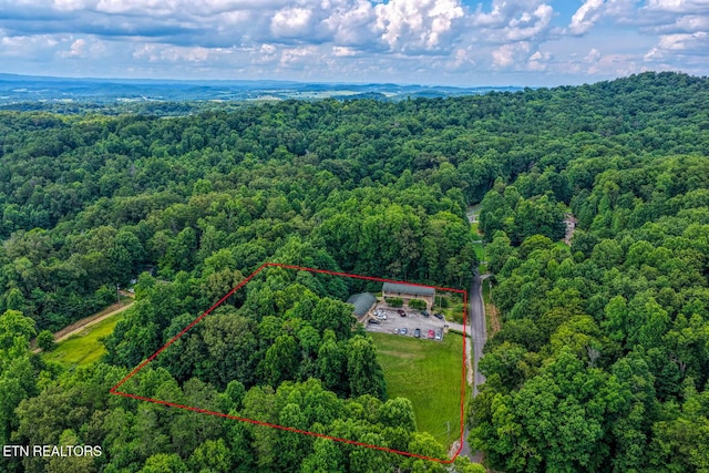 2810 Daybreak Way, Strawberry Plains, TN 37871 - aerial view of property and surrounding area featuring property parcel outlined