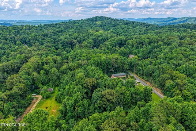 2810 Daybreak Way, Strawberry Plains, TN 37871 - aerial view of a forest