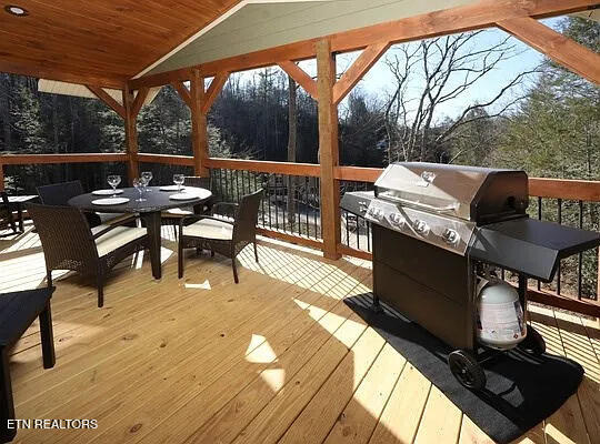 1204 Bianca Way, Gatlinburg, TN 37738 - photo 4
