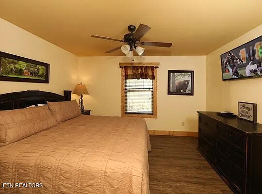 1204 Bianca Way, Gatlinburg, TN 37738 - photo 30