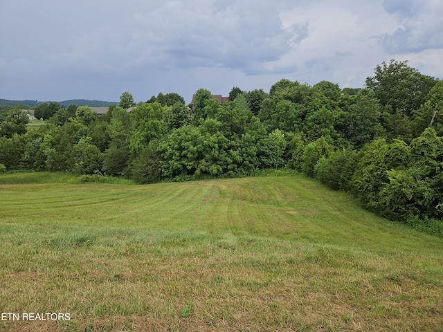 LOT197 Captains Cv, Sharps Chapel, TN 37866 - photo 2