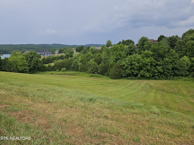 LOT197 Captains Cv, Sharps Chapel, TN 37866 - photo 5