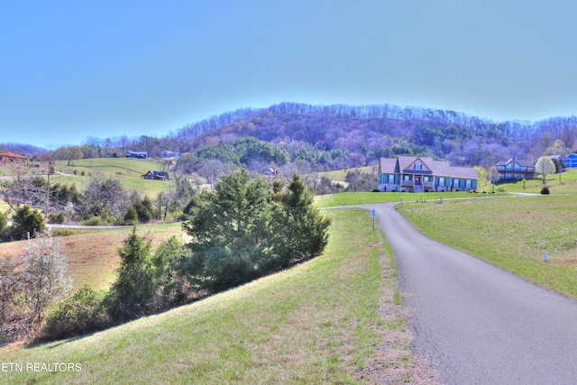LOT197 Captains Cv, Sharps Chapel, TN 37866 - photo 7