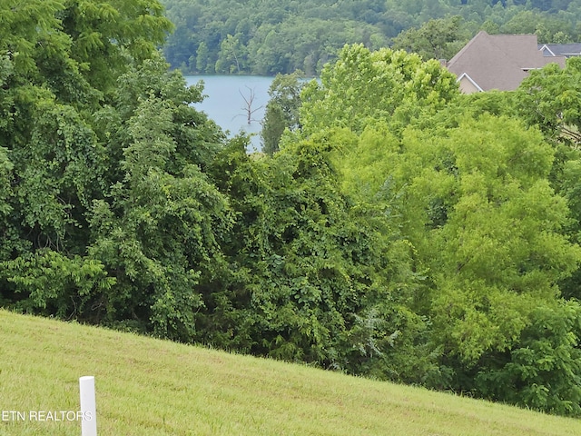 LOT197 Captains Cv, Sharps Chapel, TN 37866 - photo 6