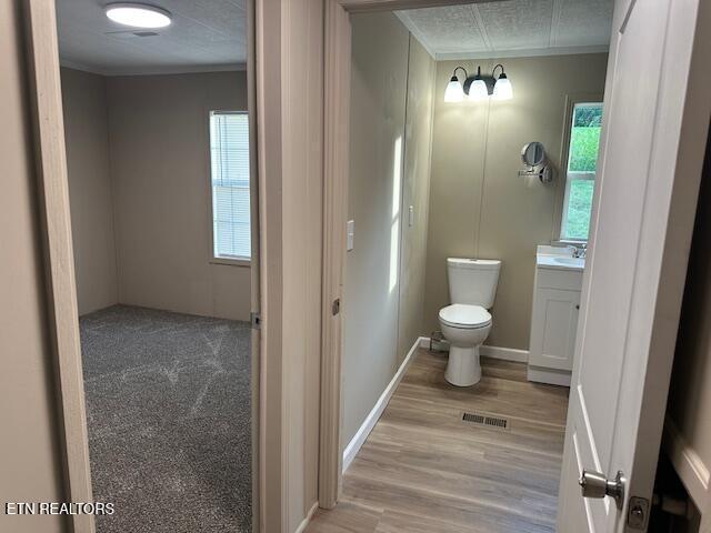 167 Loftis Rd, Parrottsville, TN 37843 - bathroom featuring vanity, ornamental molding, and wood finished floors