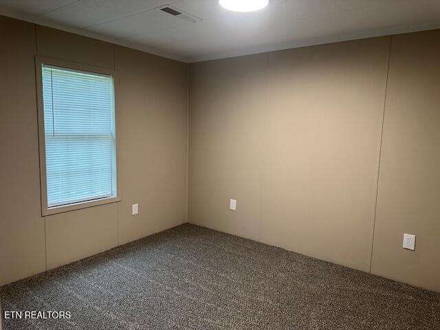 167 Loftis Rd, Parrottsville, TN 37843 - unfurnished room with carpet floors and healthy amount of natural light
