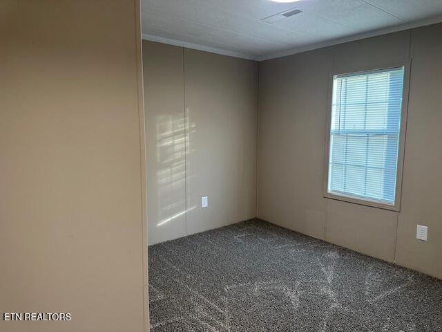 167 Loftis Rd, Parrottsville, TN 37843 - carpeted empty room with crown molding
