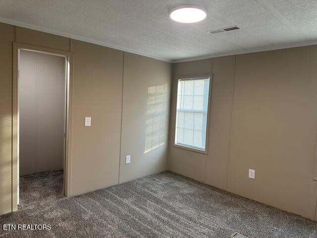 167 Loftis Rd, Parrottsville, TN 37843 - carpeted empty room with crown molding, a decorative wall, and a textured ceiling