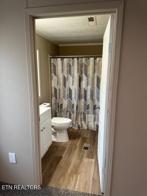 167 Loftis Rd, Parrottsville, TN 37843 - bathroom with vanity, wood finished floors, and a shower with curtain