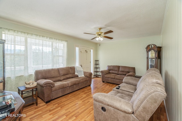 154 Swan Seymour Rd, Maynardville, TN 37807 - photo 3