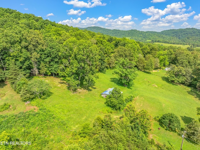 154 Swan Seymour Rd, Maynardville, TN 37807 - photo 36