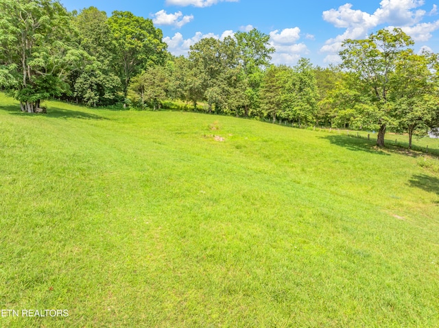 154 Swan Seymour Rd, Maynardville, TN 37807 - photo 38