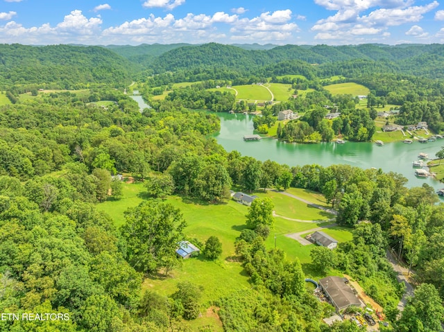 154 Swan Seymour Rd, Maynardville, TN 37807 - photo 39