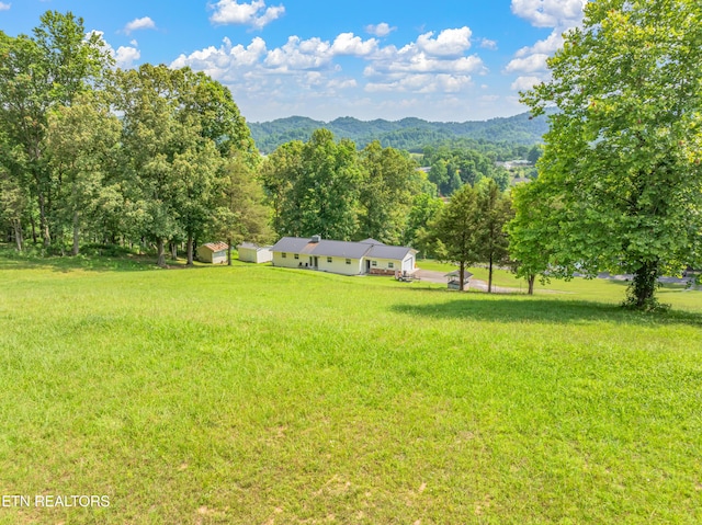 154 Swan Seymour Rd, Maynardville, TN 37807 - photo 42
