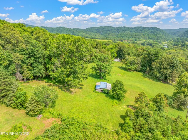 154 Swan Seymour Rd, Maynardville, TN 37807 - photo 43