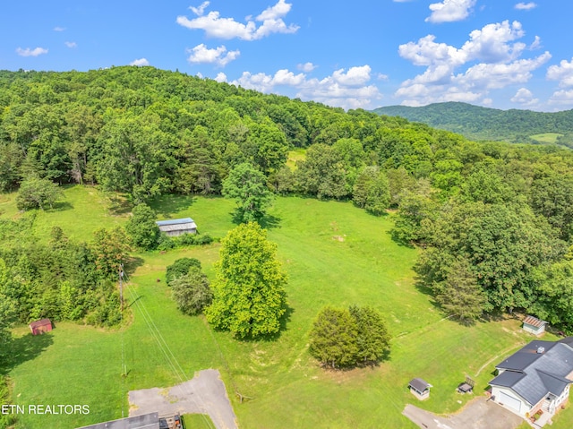 154 Swan Seymour Rd, Maynardville, TN 37807 - photo 44