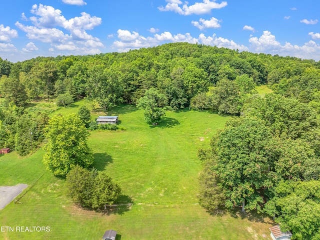 154 Swan Seymour Rd, Maynardville, TN 37807 - photo 45
