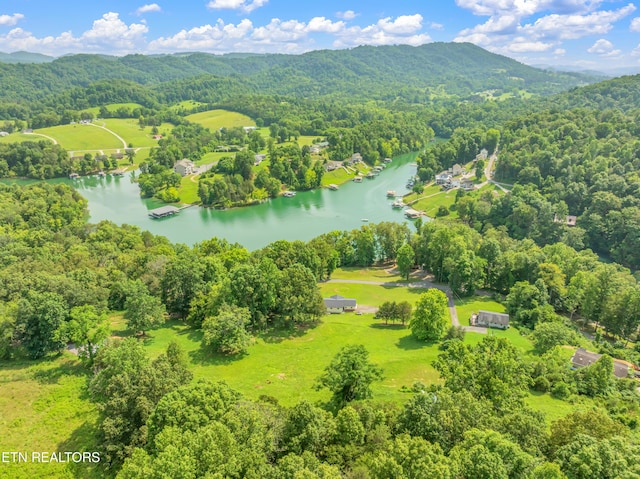 154 Swan Seymour Rd, Maynardville, TN 37807 - photo 46