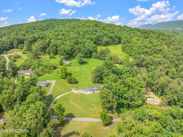 154 Swan Seymour Rd, Maynardville, TN 37807 - photo 51