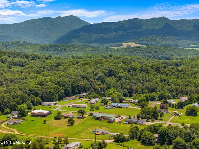 130 Hidden Estates Way, Newport, TN 37821 - bird's eye view of a forest and a mountainous background