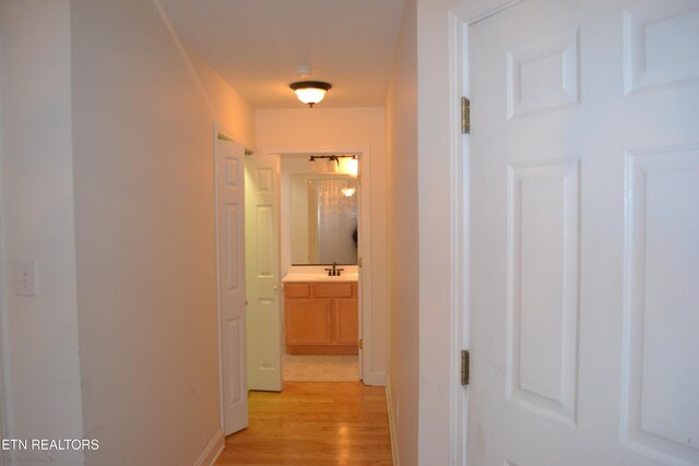 5959 Round Hill Ln, Knoxville, TN 37912 - photo 6
