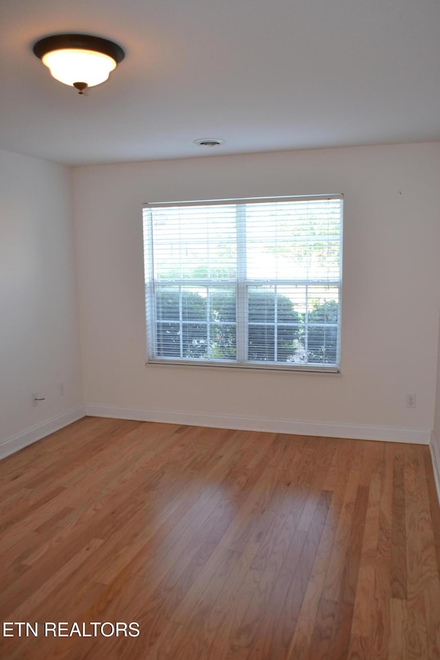5959 Round Hill Ln, Knoxville, TN 37912 - photo 8