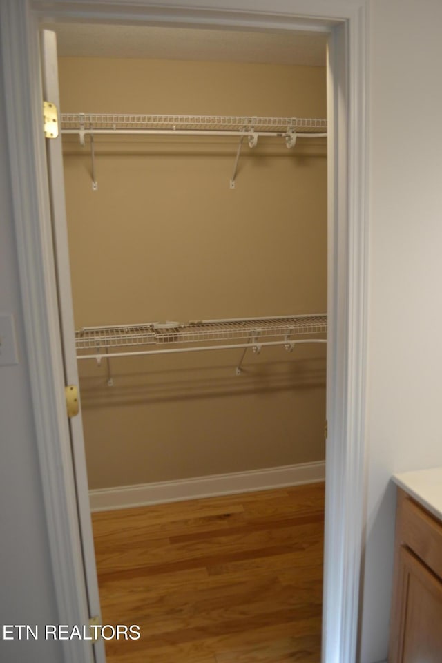 5959 Round Hill Ln, Knoxville, TN 37912 - photo 21