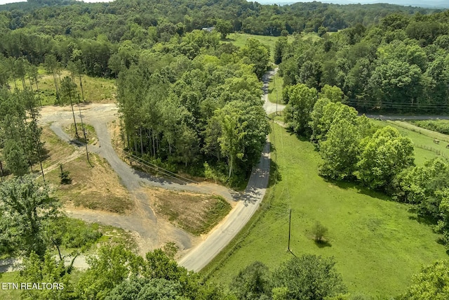 3491 Armstrong Ferry Rd, Decatur, TN 37322 - photo 3