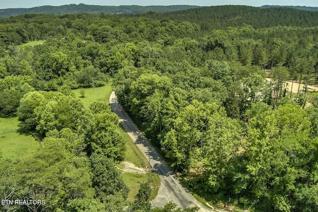 3491 Armstrong Ferry Rd, Decatur, TN 37322 - photo 5