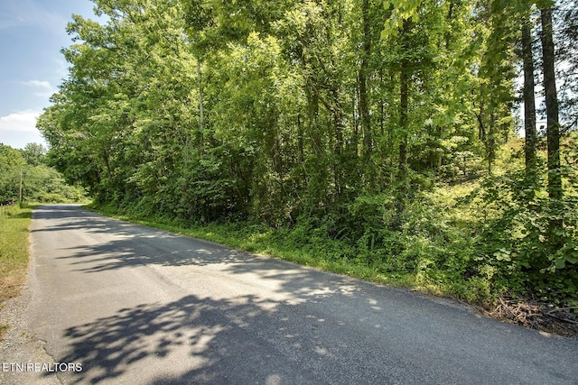 3491 Armstrong Ferry Rd, Decatur, TN 37322 - photo 6