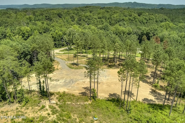 3491 Armstrong Ferry Rd, Decatur, TN 37322 - photo 9