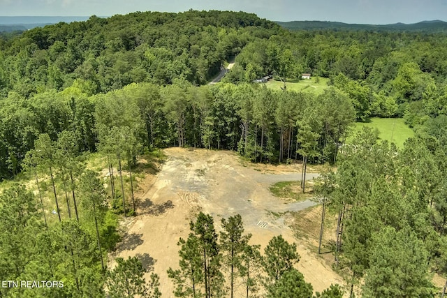 3491 Armstrong Ferry Rd, Decatur, TN 37322 - photo 10